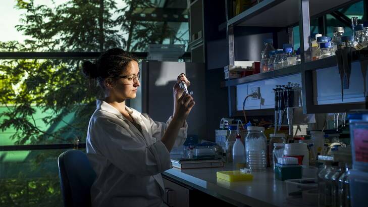 Research scientist, Dr Maud Bernoux works in the lab. She is studying how plants trigger a response to disease at the CSIRO. Photo: Rohan Thomson