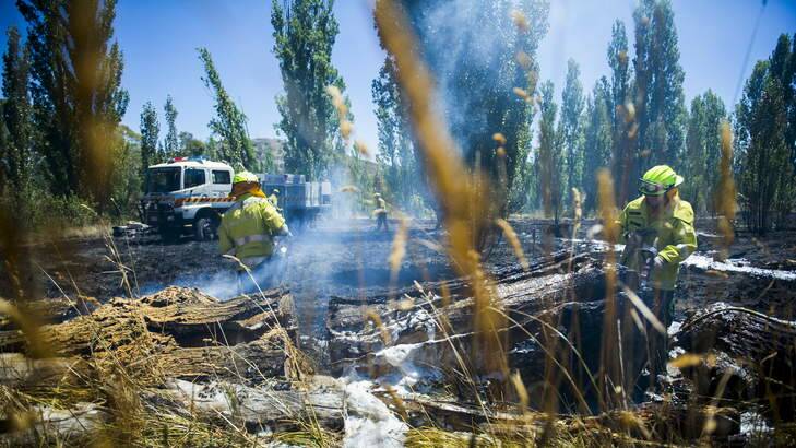 Fire crews work to ensure the grass fire will not re-ignite. Photo: Rohan Thomson