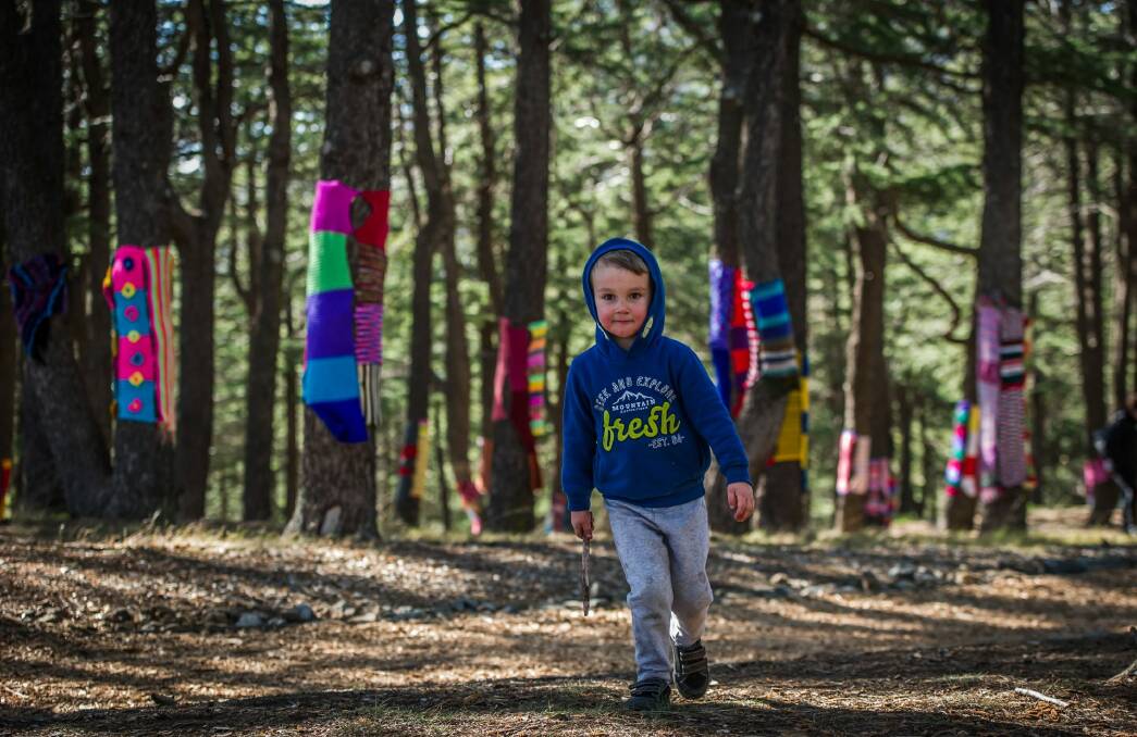 Official launch of the 2017 Warm Trees exhibition at the National Arboretum. Oliver Kreuzer, 4, of Farrer in the Himalayan cedar forest. Photo by Karleen Minney. Photo: Karleen Minney
