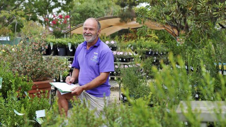 Owner of the Heritage Nursery at Yarralumla, Bruno Zimmermann, does a stocktake of the plants in the neighbouring, government owned, Yarralumla Nursery. Photo: Graham Tidy