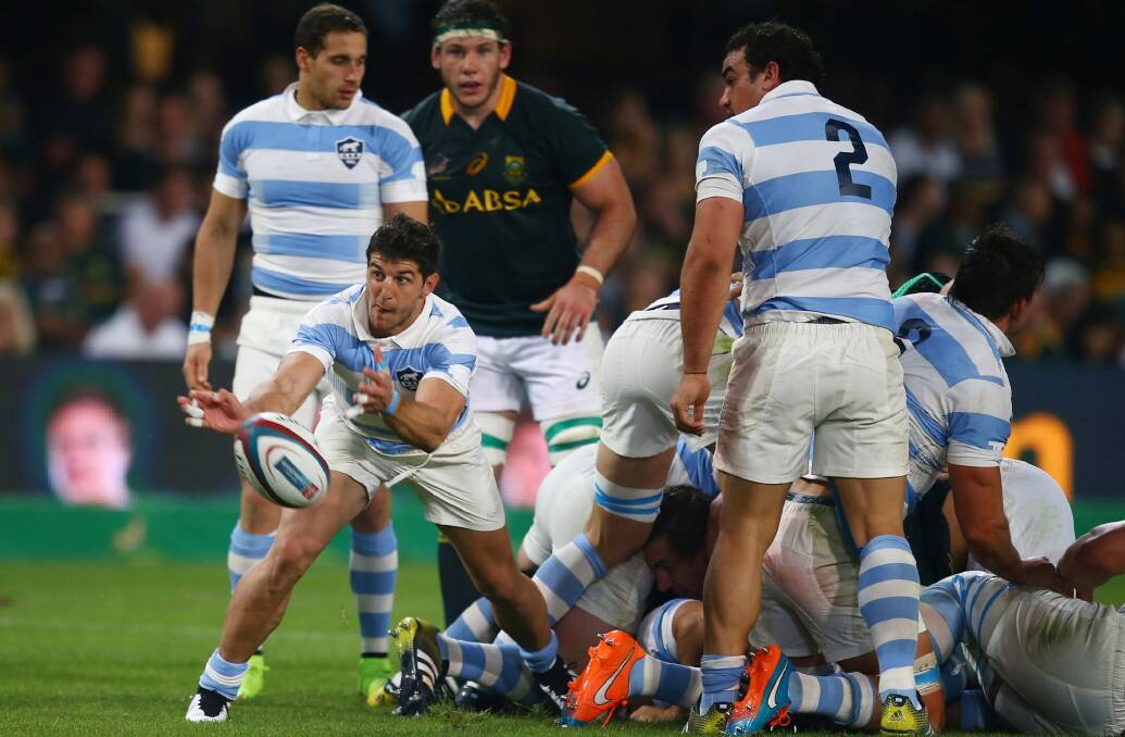 Tomas Cubelli will be free to play for Argentina as well as juggling his first Super Rugby season. Photo: Steve Haag