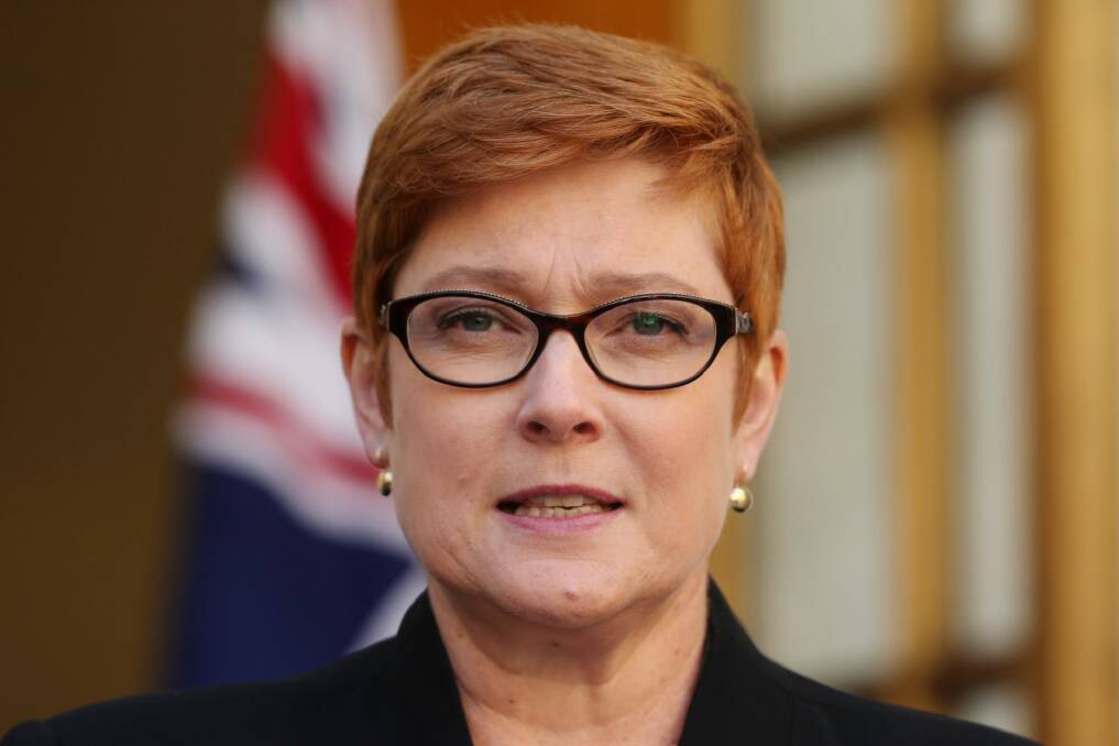 "The investigation into the incident is being finalised": Defence Minister Marise Payne. Photo: Andrew Meares