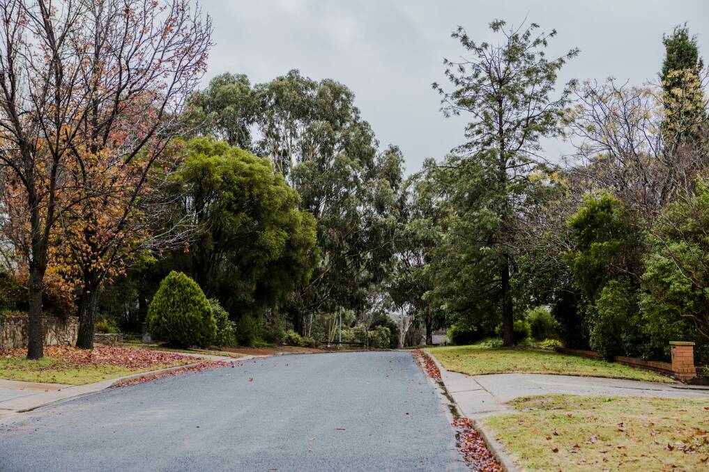 Leafy Julius Street, Pearce, has one of the highest rates of Fluffy contamination, with eight homes in the loop street to be demolished. Photo: Jamila Toderas