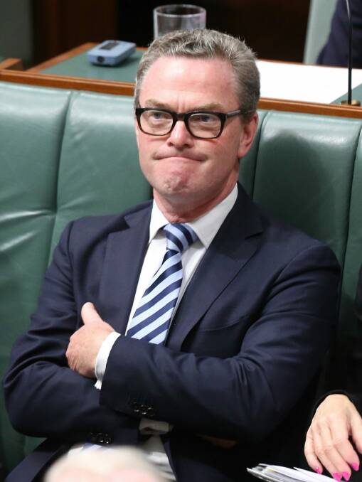 Christopher Pyne has been labelled a 'menace' by a Coalition backbencher for coveting Marise Payne's job. Photo: Andrew Meares