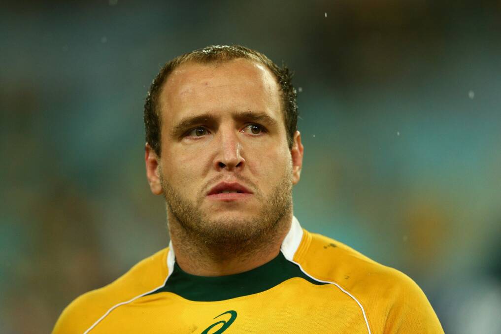 Wallabies veteran Ben Alexander will start on the bench in the Canberra Vikings' first NRC match. Photo: Getty Images