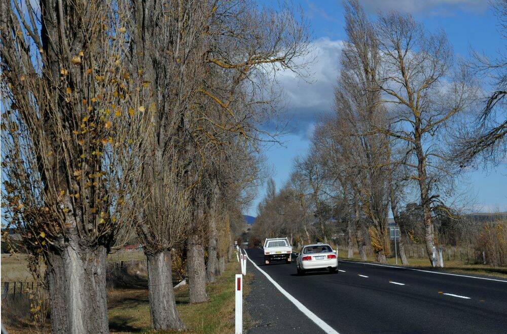 Eurobodalla Shire Council’s Director of Infrastructure Services Warren Sharpe believes the 100km/h speed limit  outside Braidwood could be safely reinstated without removing the "highly valued" trees. Photo: Graham Tidy