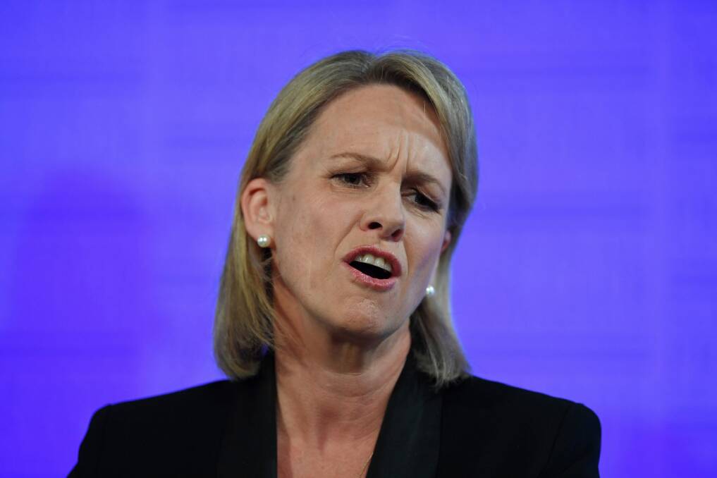 Deputy Nationals Leader Fiona Nash speaks during her address to the National Press Club in Canberra on Wednesday. Photo: AAP
