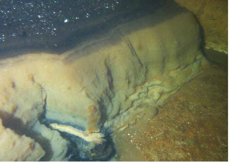 Sediment in a Bombala reservoir. Photo: Supplied