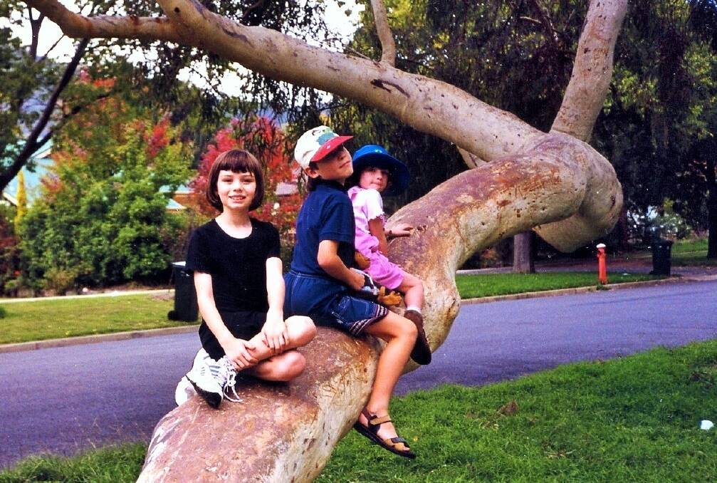 The Charlton kids on the Ainslie tree  in 1999.