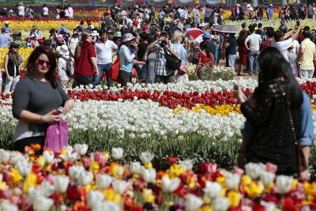 Huge crowds turned out at Floriade on Sunday. Photo: Jeffrey Chan