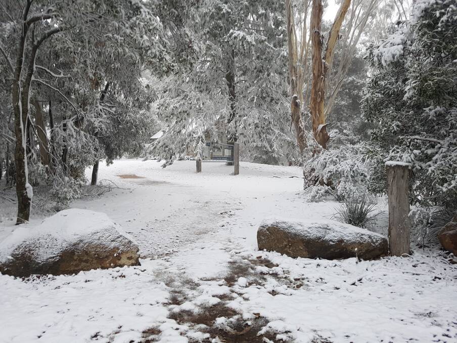 Snow covers the ground at the ACT's Namadgi National Park. Photo: ACT Parks and Conservation.