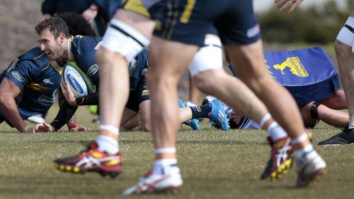 Nic White at Brumbies training on Thursday. Photo: Jeffrey Chan