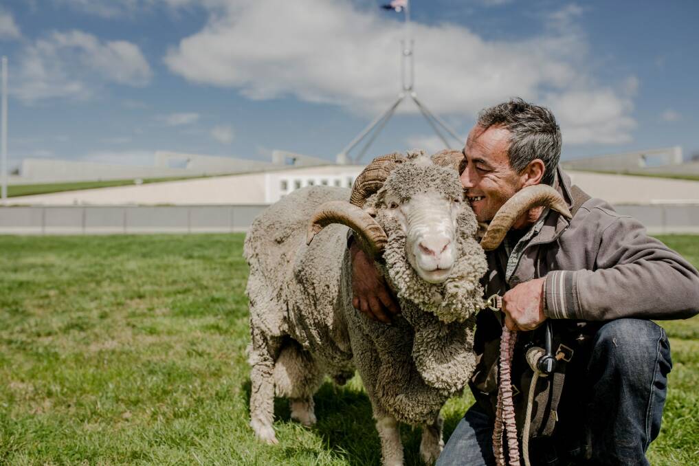 Jackie Chan the merino ram and his owner, Godwin Aquilina, protesting out the front of Parliament House in Canberra. Photo: Jamila Toderas