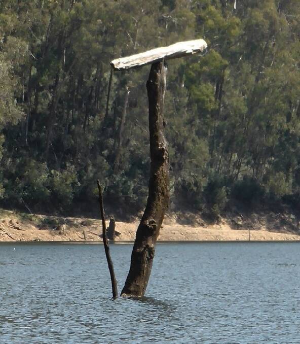 The precariously placed log in a Snowy Mountains dam. Photo: Supplied