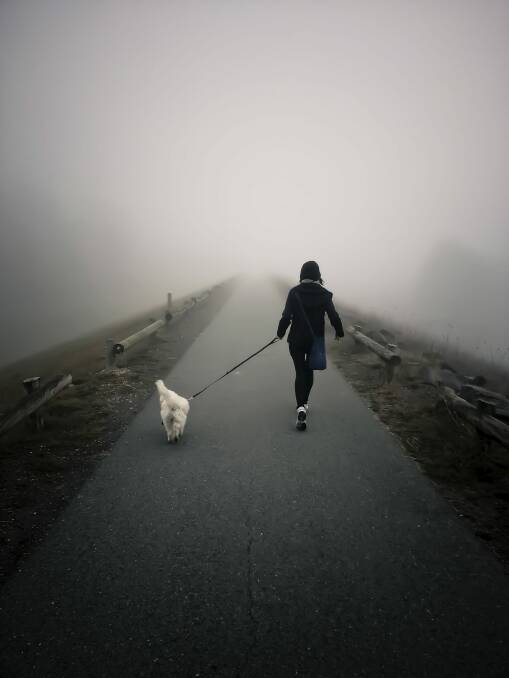 Ruel Abello captured this photo of his wife Annie and nine-month old spoodle Cookie braving the foggy cold morning for a walk near the Nicholls pond in Gungahlin on August 9. Photo: Ruel Abello