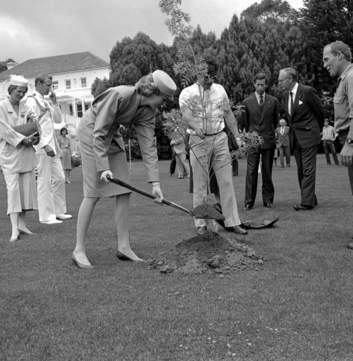 Lady Dianan plants a Golden Ash tree during her visit to Government House. Photo: Supplied