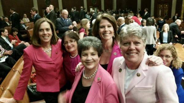 On Wednesdays we wear pink: Representative Cheri Bustos and her political colleagues made a serious fashion statement at the State of the Union address. Photo: Twitter