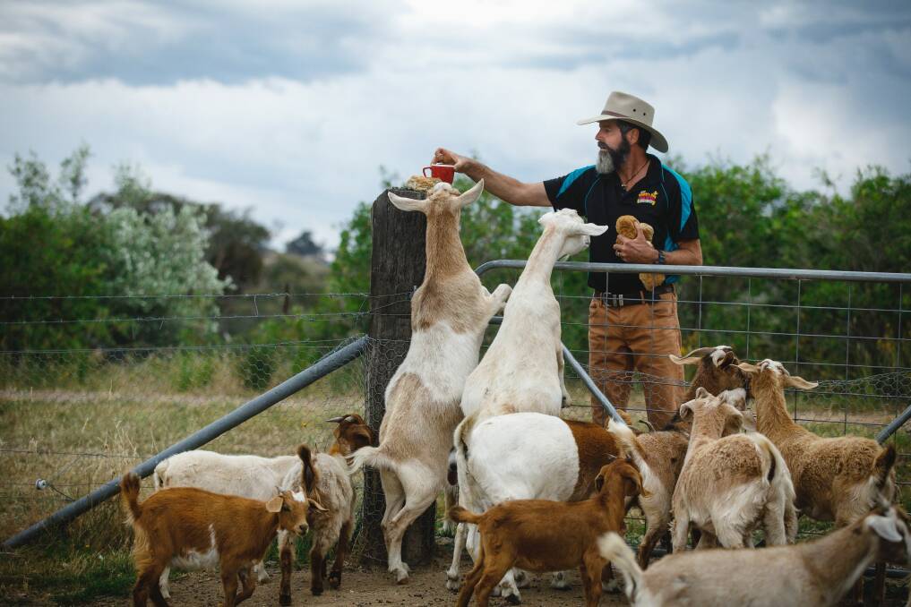 Noah's Ark Farm Friends Petting Zoo owner Matt Rogers feeds his goats. Photo: Sitthixay Ditthavong