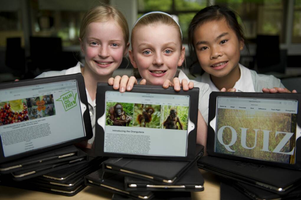 Canberra Girls Grammar fifth-graders Evie Lane, Lauren Faulder and Emily Nguyen with the prize-winning website they built to raise awareness of orangutans. Photo: Jay Cronan