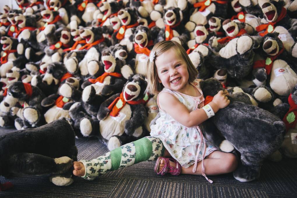 Zara Davidson of Harrison with some of the teddy bears to be given out at the Canberra Special Children's Christmas Party at Thoroughbred Park on Sunday. Photo: Rohan Thomson