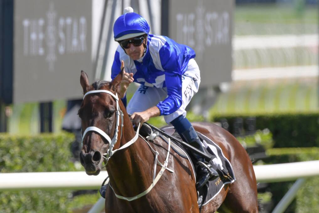 Superhorse Winx in another win. Photo: AAP