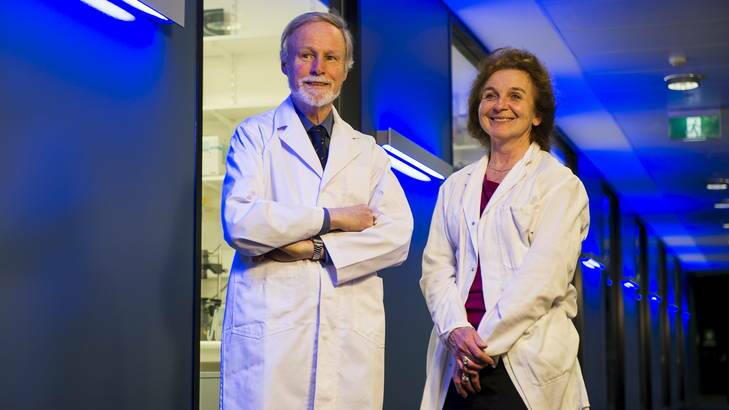 Professor Christopher Parish and Dr Charmaine Simeonovic discuss progress while their team continue to work towards a greater understanding of Type 1 Diabetes. Photo: Rohan Thomson