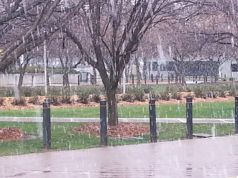 Snow falls at the AIS in Canberra. Photo: @Hundred_Swords. Twitter