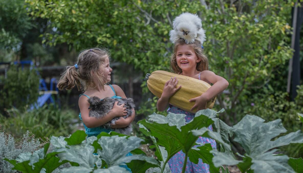 Poppy, 3, and Ruby, 5, Reynolds are fourth-generation show bakers.  They are entering their own vegetables, eggs, decorated biscuits and cakes at the Royal Canberra Show.  Photo: karleen minney