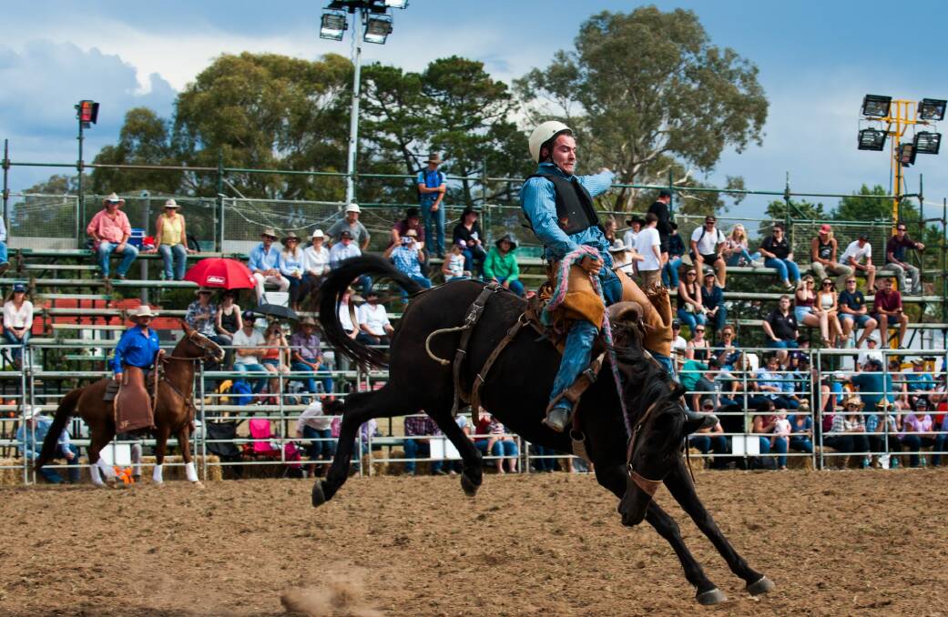 Daniel Luff competed in the novice saddle event at the rodeo. Photo: Elesa Kurtz