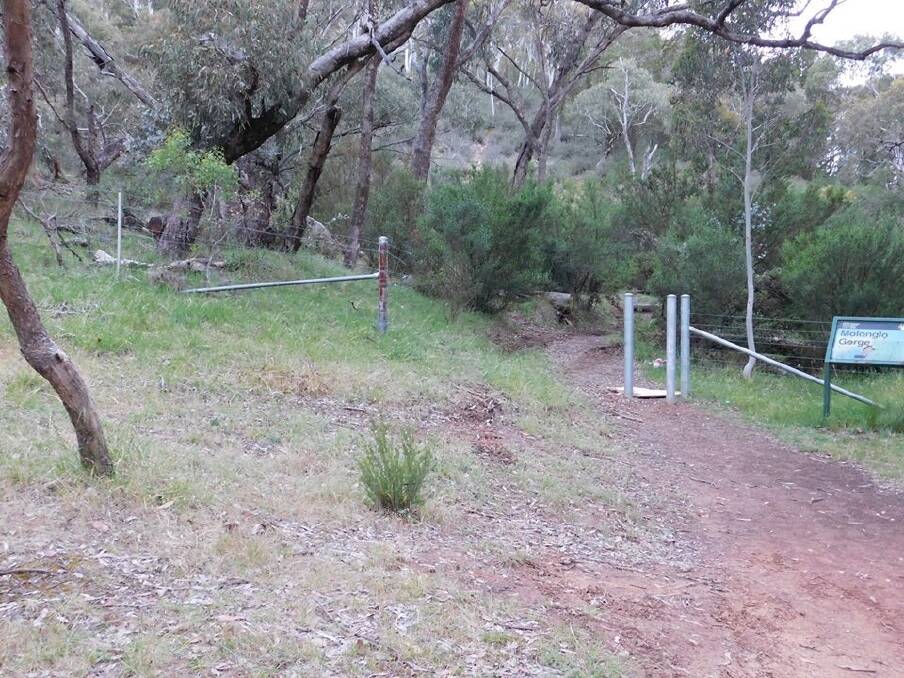 The area where the ute was recovered.  Photo: ACT Policing