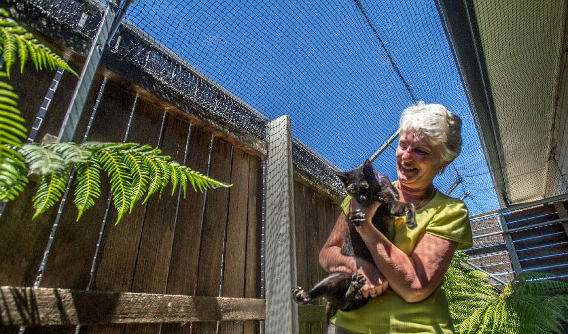 Margaret Barker has had to contain her cat Ivy using netting over her backyard in Forde. Photo: Karleen Minney