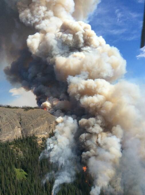 View of the firefront from Fire Bird 1. Photo: Supplied