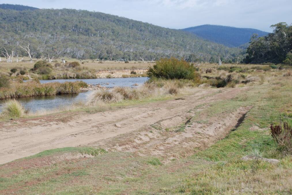 Four-wheel-drive tracks near the banks of the Eucumbene River at a popular trout fishing spot. Photo: Monaro Acclimatisation Society