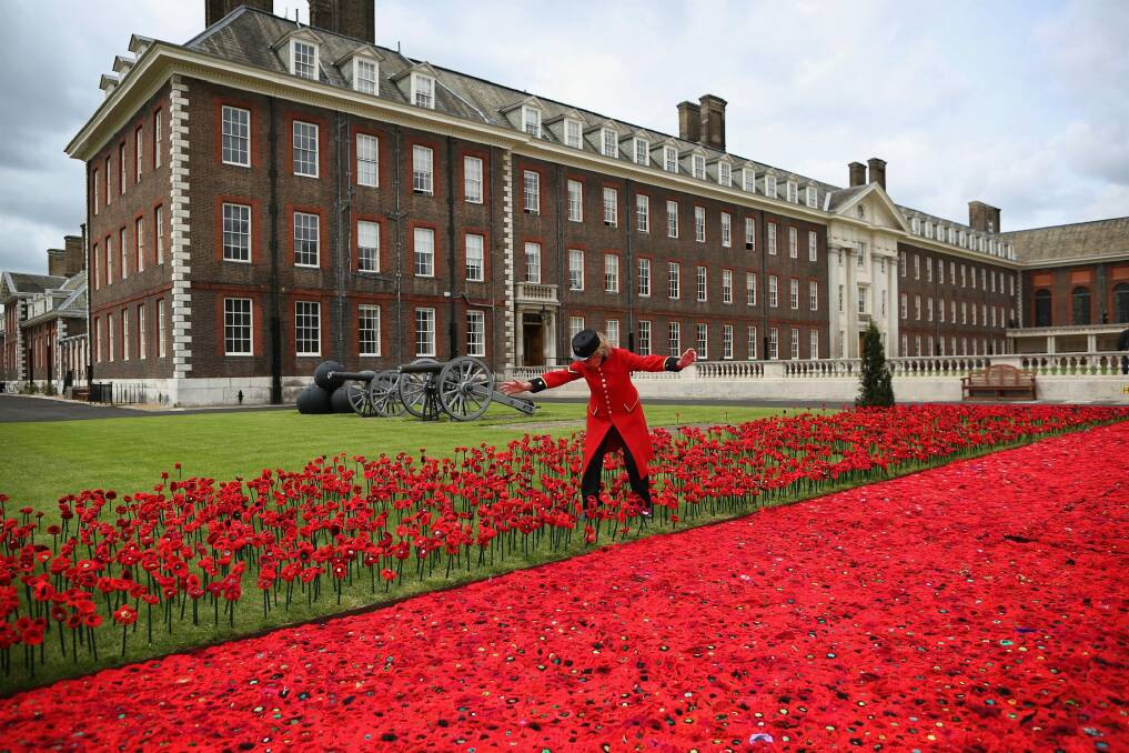 More than 300,000 poppies were "planted" at the Chelsea Flower Show in 2016.
 Photo: Dan Kitwood