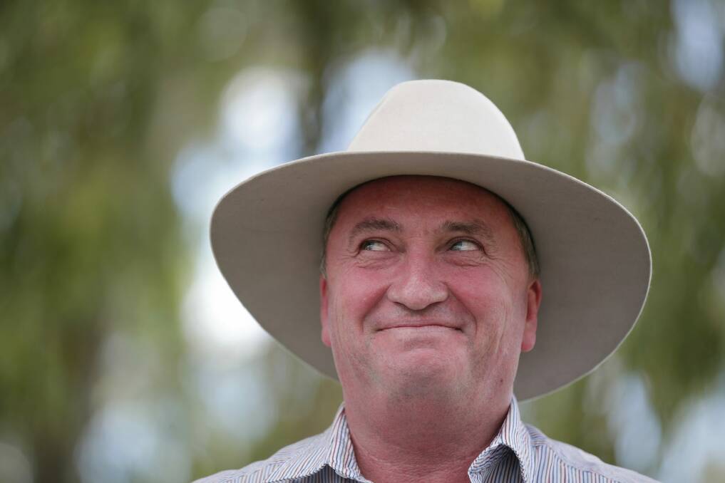 Barnaby Joyce has said the government considered several regional cities for the Regional Investment Corporation.  Photo: Alex Ellinghausen