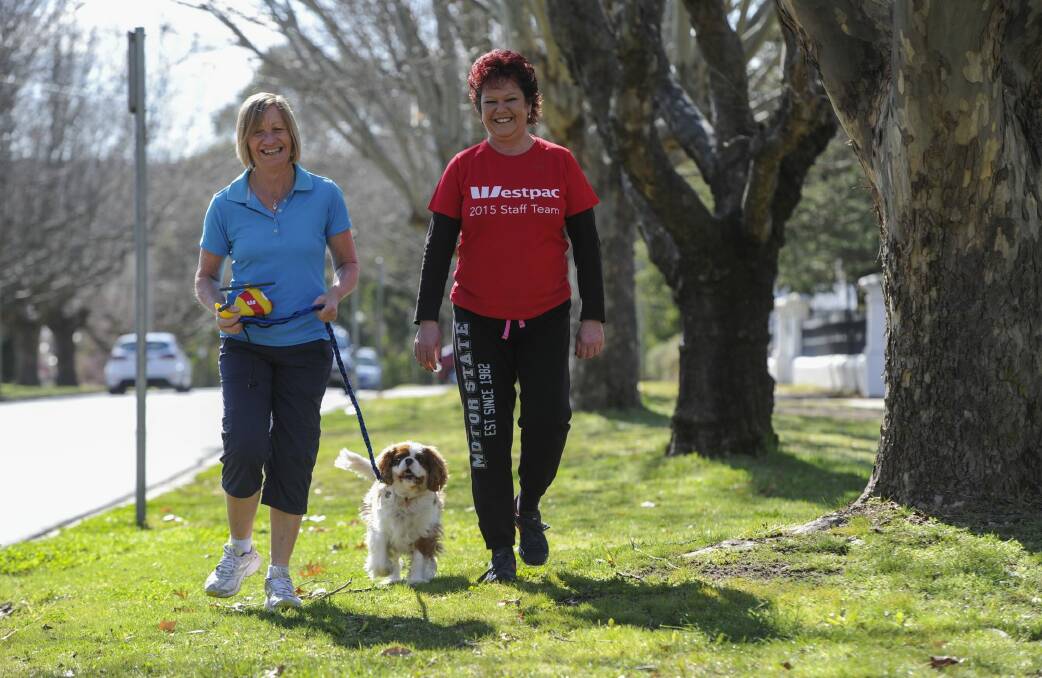Taking part in the 5km walk on Sunday for The Canberra Times FunRun event are Anne Pratt, manager of HOME in Queanbeyan, left and Jo Percy, manager of the Fyshwick branch of sponsor WESTPAC. Joining them in a training session in the back streets of Queanbeyan is Benny the HOME pet. Photo: Graham Tidy