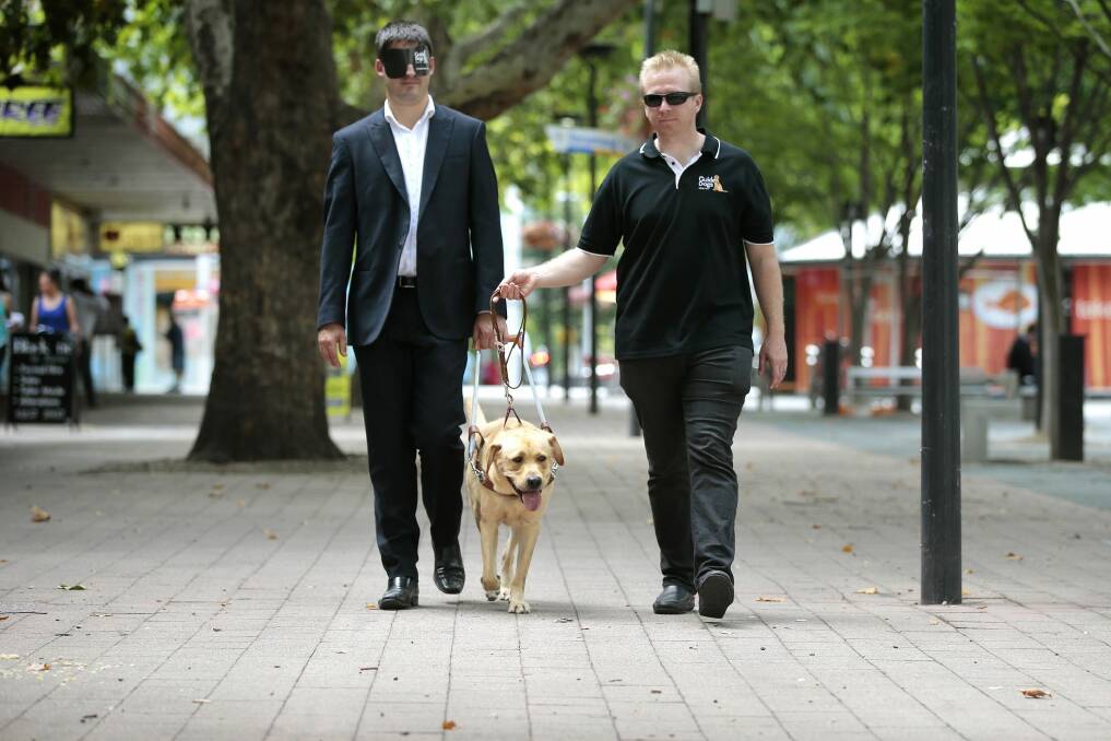 Shadow Disability Minister Andrew Wall is guided by Guide Dogs ACT/NSW research officer Patrick Shaddock and Keno. Photo: Jeffrey Chan