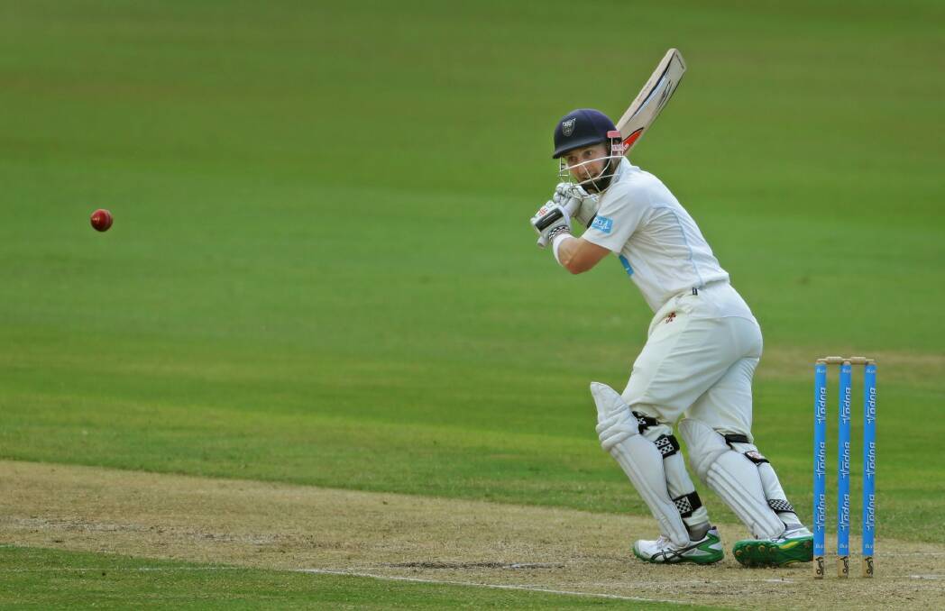 Cricketer Peter Nevill. Photo: Marina Neil