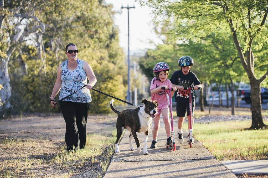 Michelle Black with her kids Lachlan, 7, and Chloe, 6, and puppy Effie near their home in Higgins. Photo: Rohan Thomson