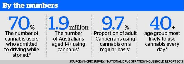 Snapshot of recreational cannabis use Photo: Supplied