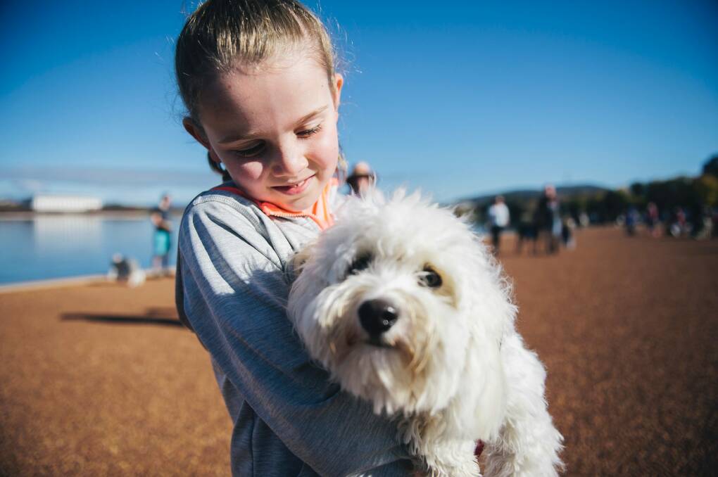 Ava Polgase-Bulley, 8, of Forrest, lakeside with her dog Snowy.  Photo: Rohan Thomson