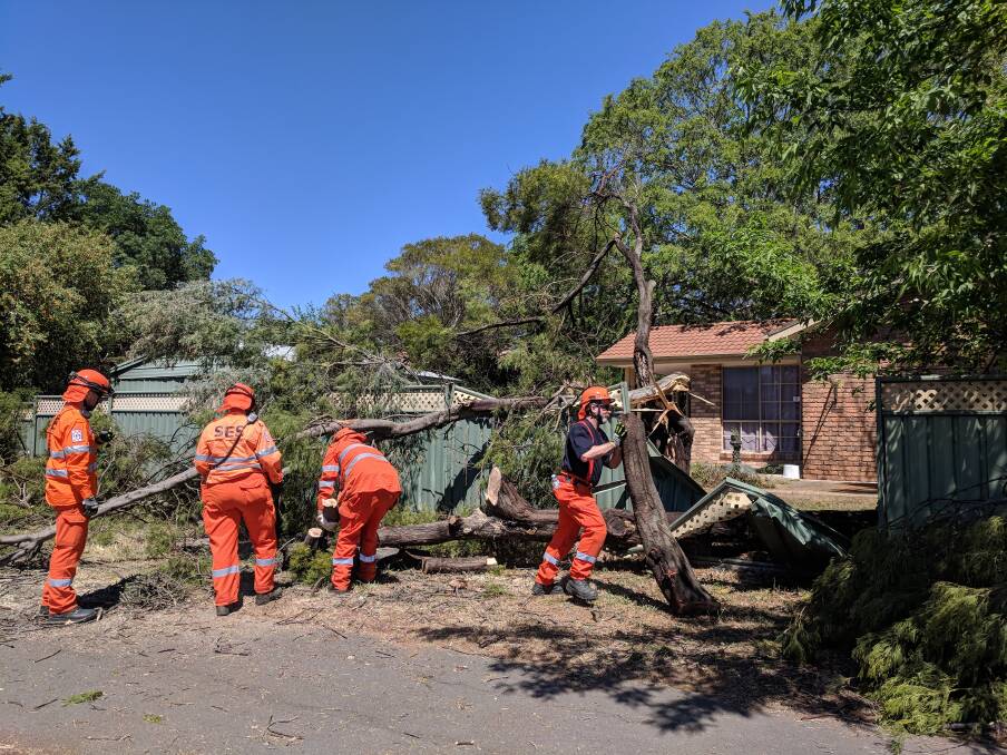 ACT SES crews respond to a fallen tree that that destroyed a fence in Lyneham during the damaging storms on Friday. Photo: ACT SES