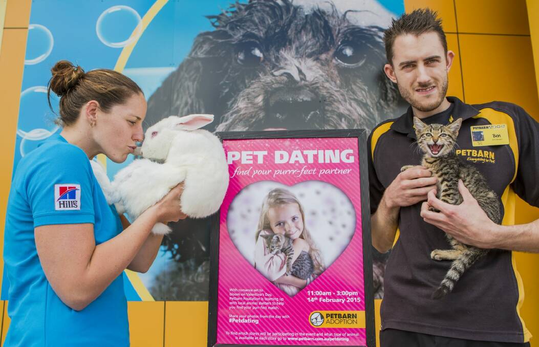 RSPCA's Alicia Coutts with New Zealand Cross Joey and PetBarn Tuggeranong store manager Ben Tomlin with 10-week-old Clementine the domestic short haired Tabby cat. Photo: Jamila Toderas