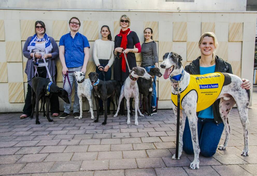 Front: Gabby Openshaw with Bobby. From left: Deborah Lowery, with Morpheus. Joel Smith with Edna, Evie Gibbon with Lilly and Dee Gibbon with Opie, Ada Prosperi with Maude. Photo: Jamila Toderas