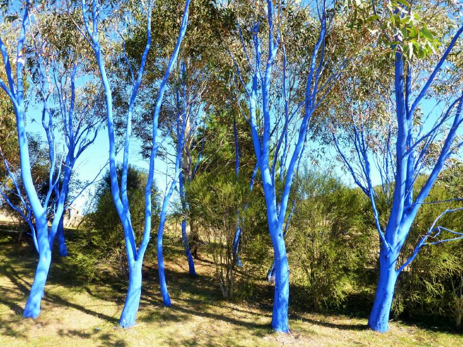 The Blue Trees at Wildbrumby Distillery, near Thredbo, were created by Konstantin Dimopoulos to sound a warning for deforestation. Photo: Tim the Yowie Man