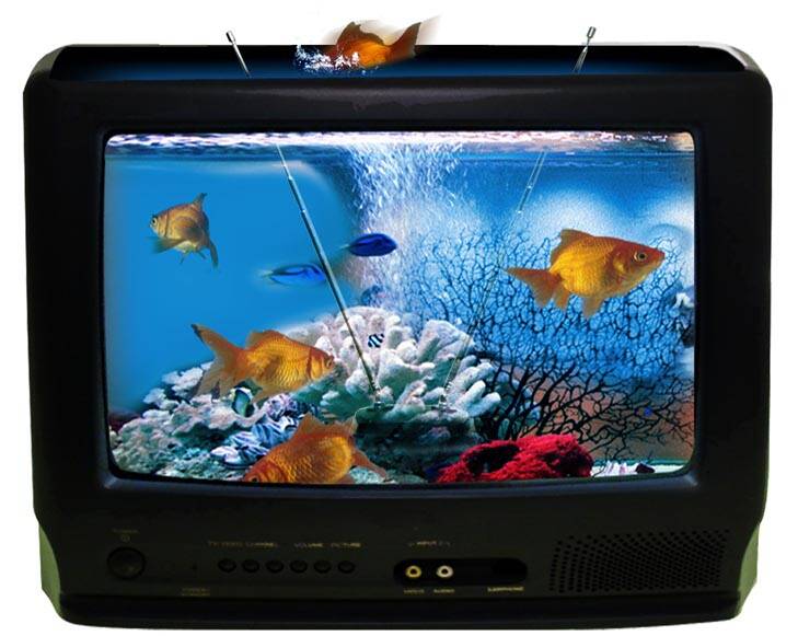 Surfing the tides of change ... you could turn your old TV into an aquarium. Photo: Harry Afentoglou