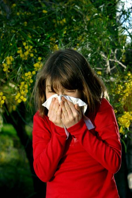 Hay fever sufferers be warned - the worst of Canberra's pollen levels  could be yet to come. Photo: Marco Del Grande