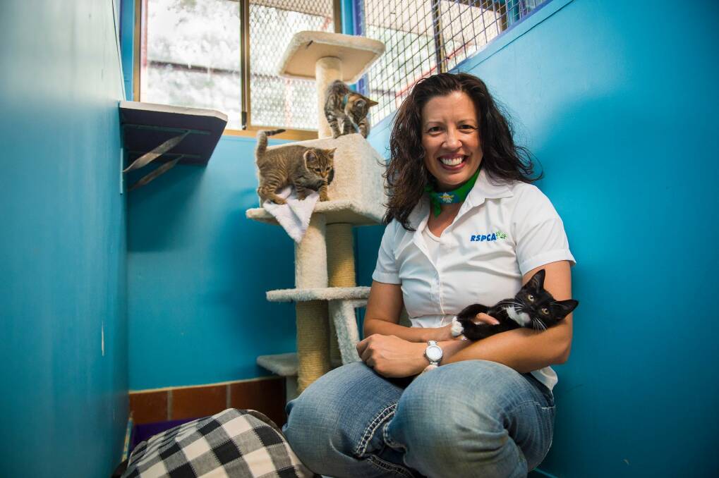 RSPCA CEO Tammy Ven Dange urges pet owners to desex their cats.  Photo: Dion Georgopoulos
