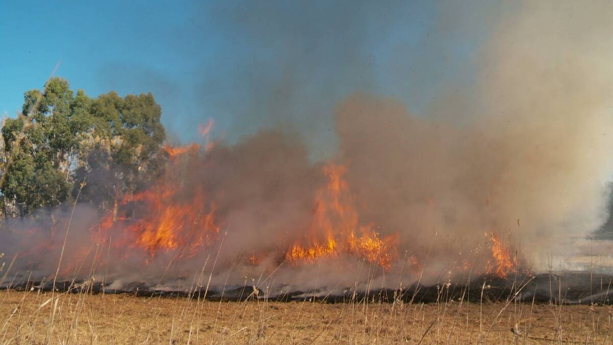 A grassland restoration burn in the Ginninderra catchment and more are slated for 15 sites around the area.