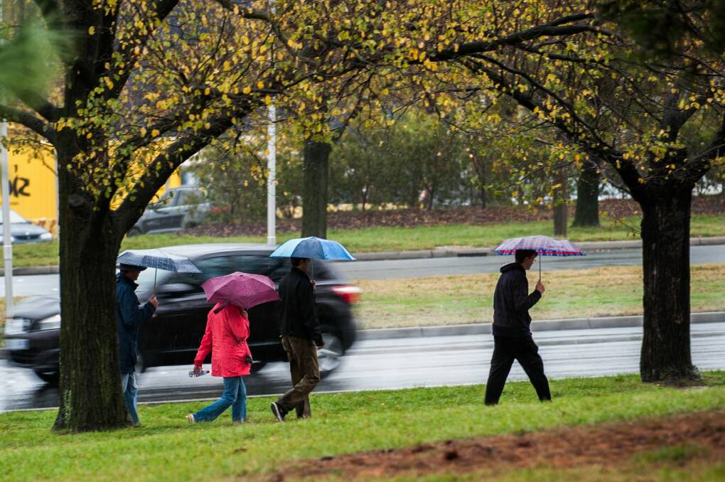 People braving the rain on Commonweath Avenue. Photo: Elesa Kurtz